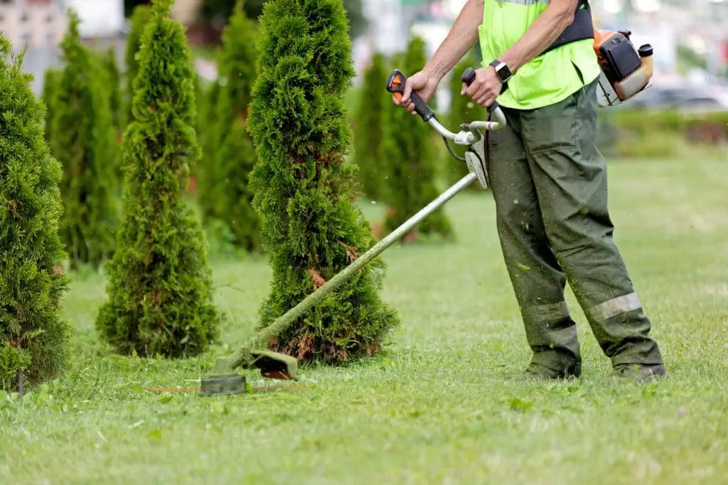 thegreenguys-amenagement-durable